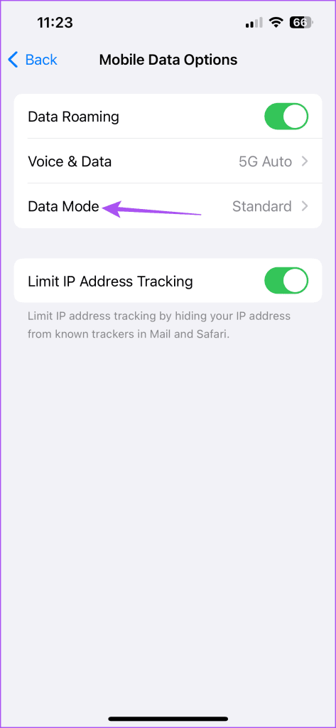 data mode settings iphone 1