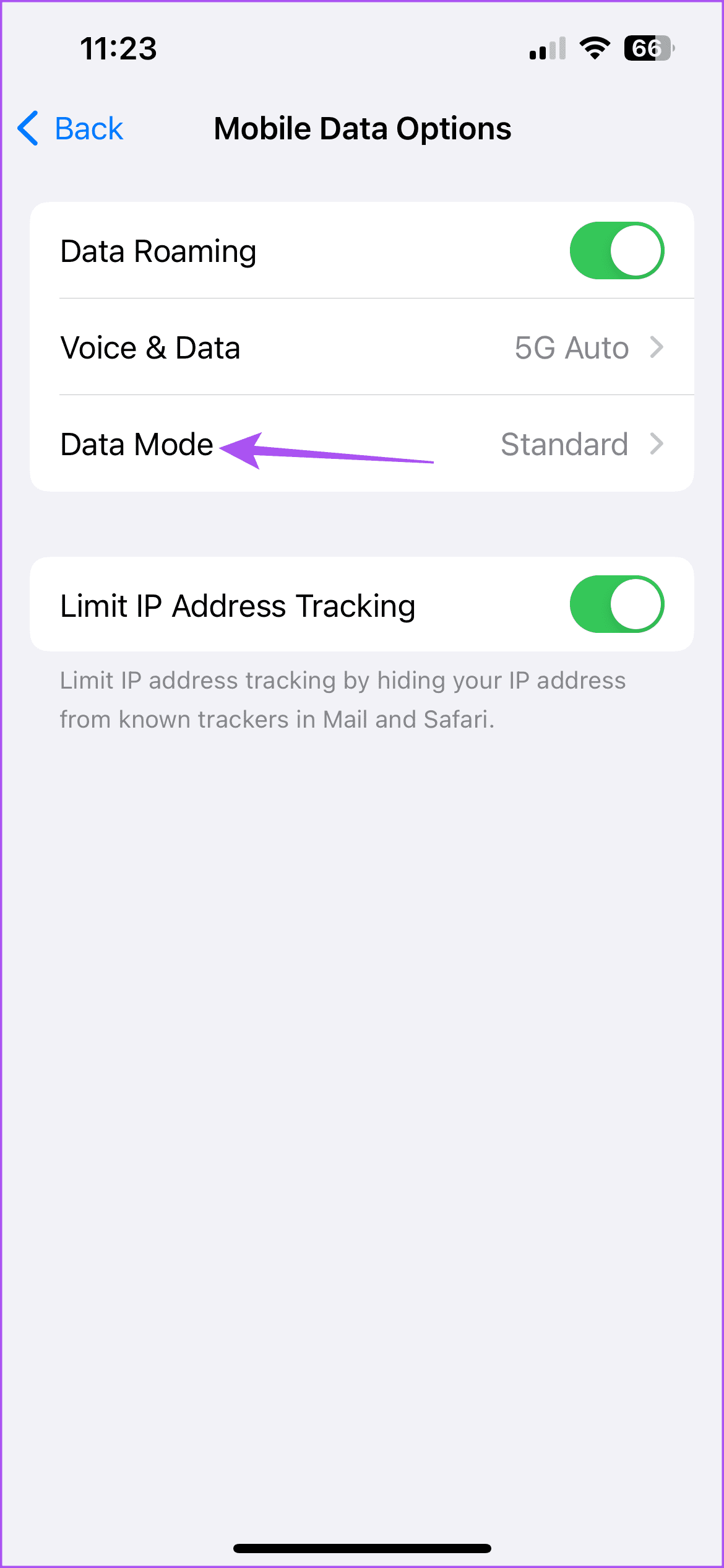 data mode settings iphone 1