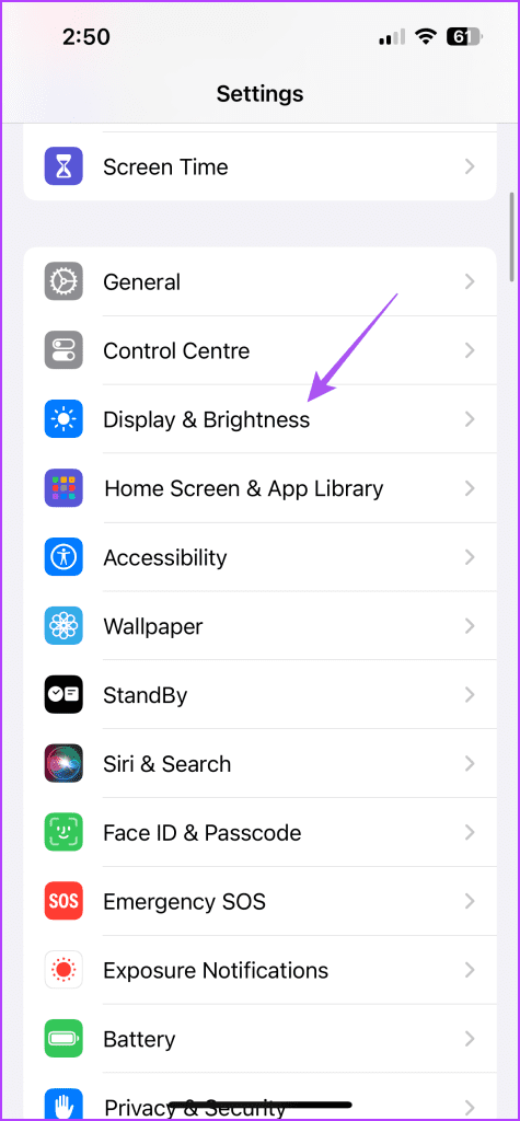 display and brightness settings iphone 1