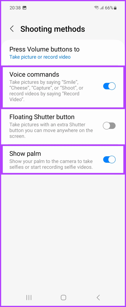 enable the options for Voice Commands and Show Palm
