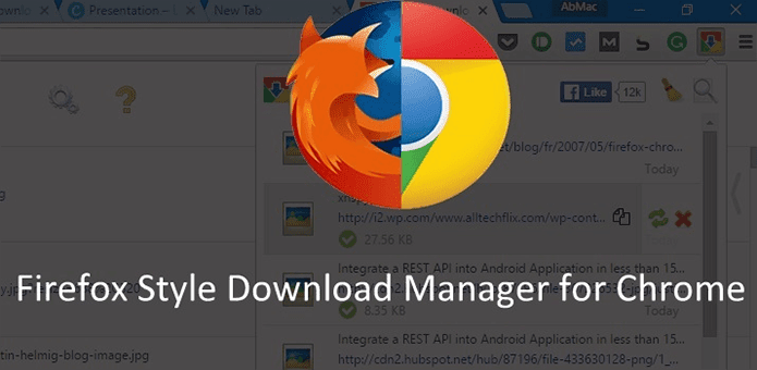 Firefox Style Download Manager Extension
