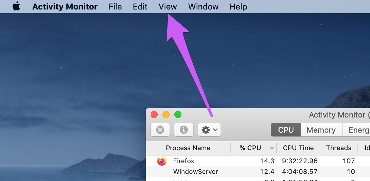 Fix activity monitor not showing columns mac