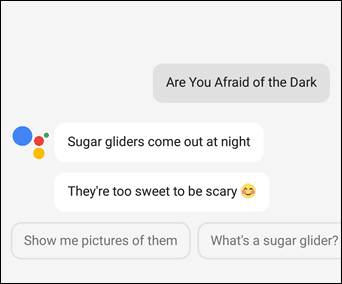 13 Funny Things to Ask the Google Assistant