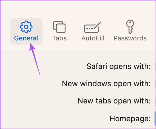 set default page safari ipad