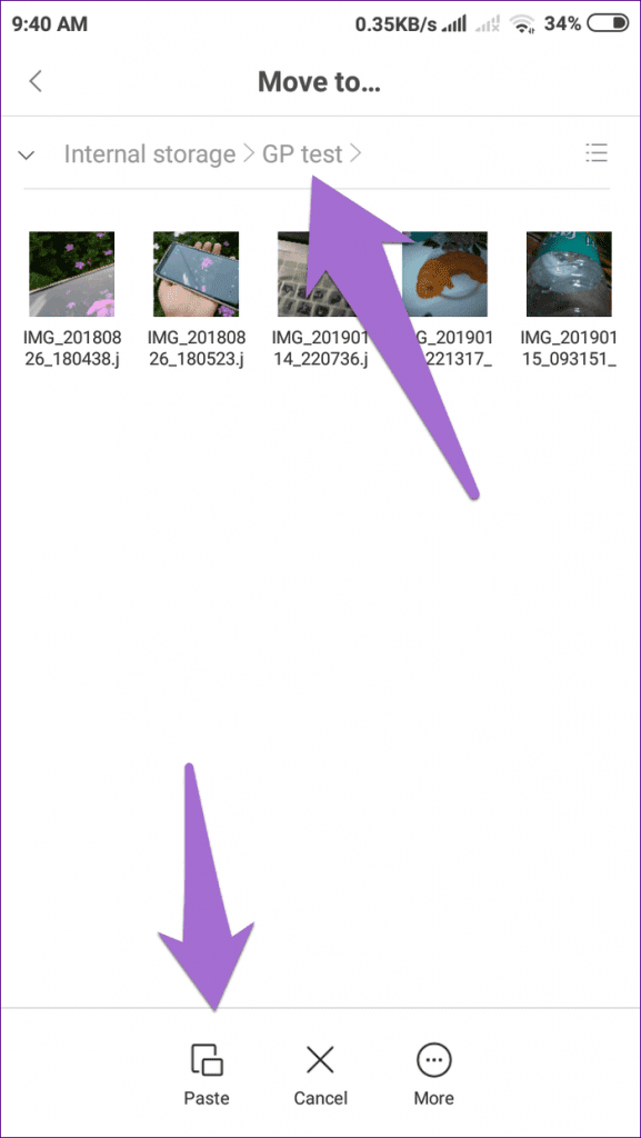 Paste the images in the new folder 