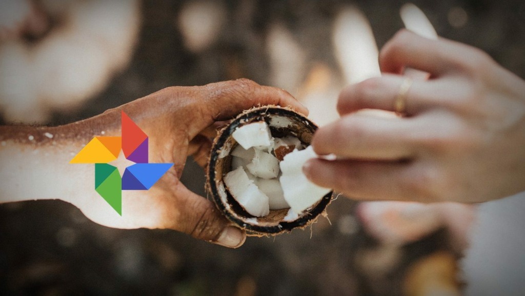 What's the Difference Between Google Photos and Gallery App on Android