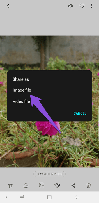 How To Convert Motion Photos To Gif In Samsung Galaxy Note 8 Note 9 And S9 10