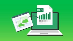 how to convert screenshot into excel