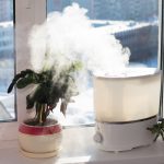 Top 7 Things to Consider Before Buying a Humidifier