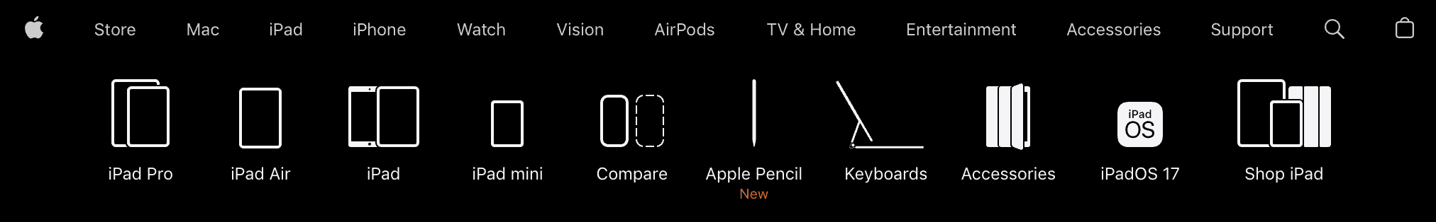 iPad options