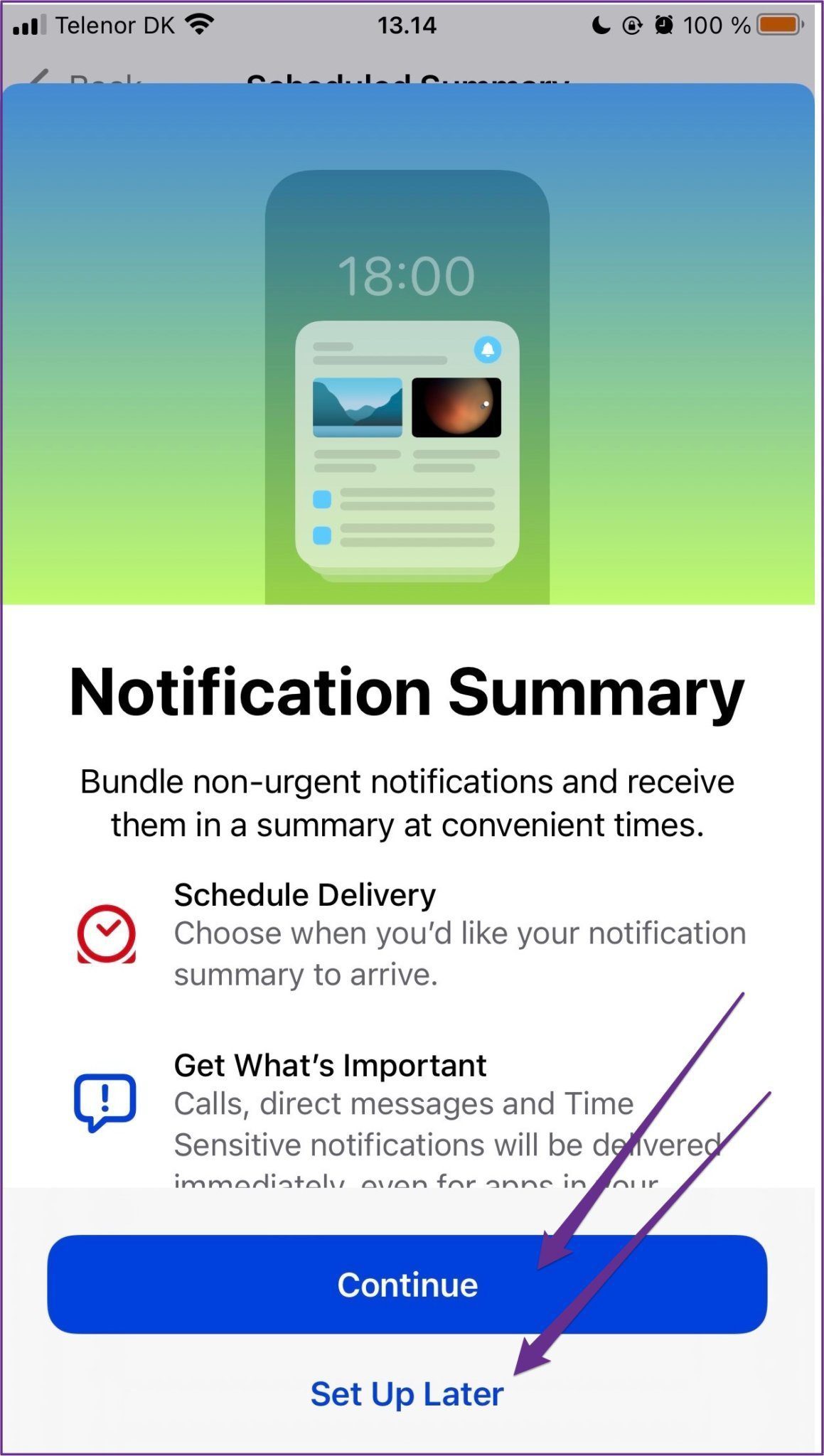 Iphone notification summary setup window
