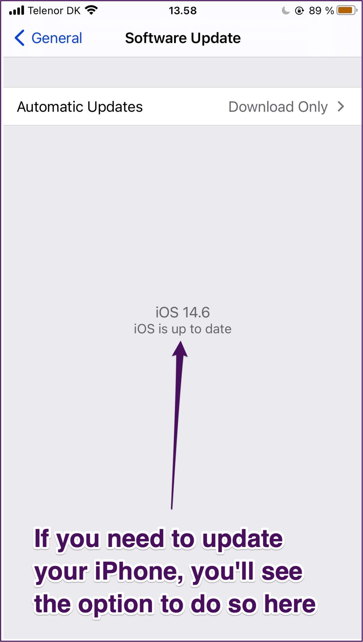Iphone software update