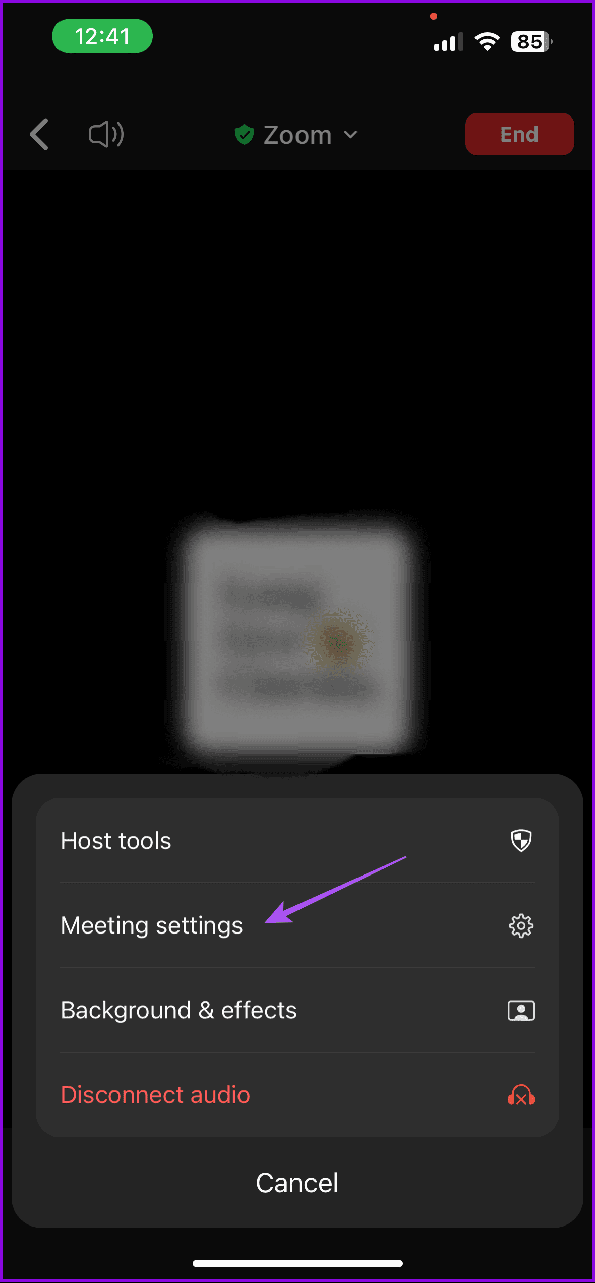 meeting settings zoom app