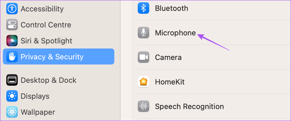 microphone privacy and security settings mac