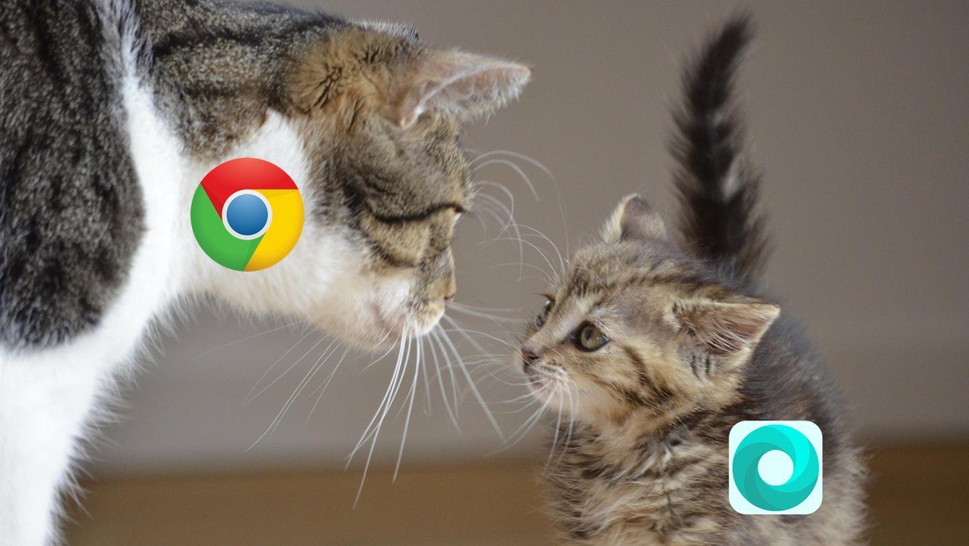 Mint Browser Vs Chrome Fi