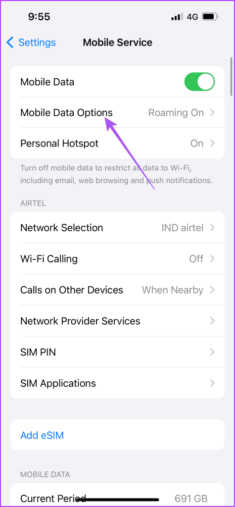 mobile data options settings iphone