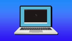 monitor not displaying full screen windows 11