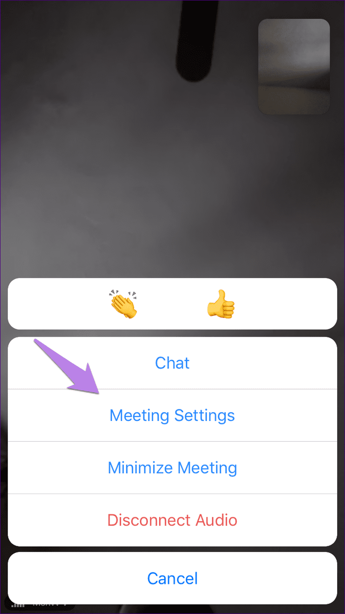 Mute zoom call meeting 14
