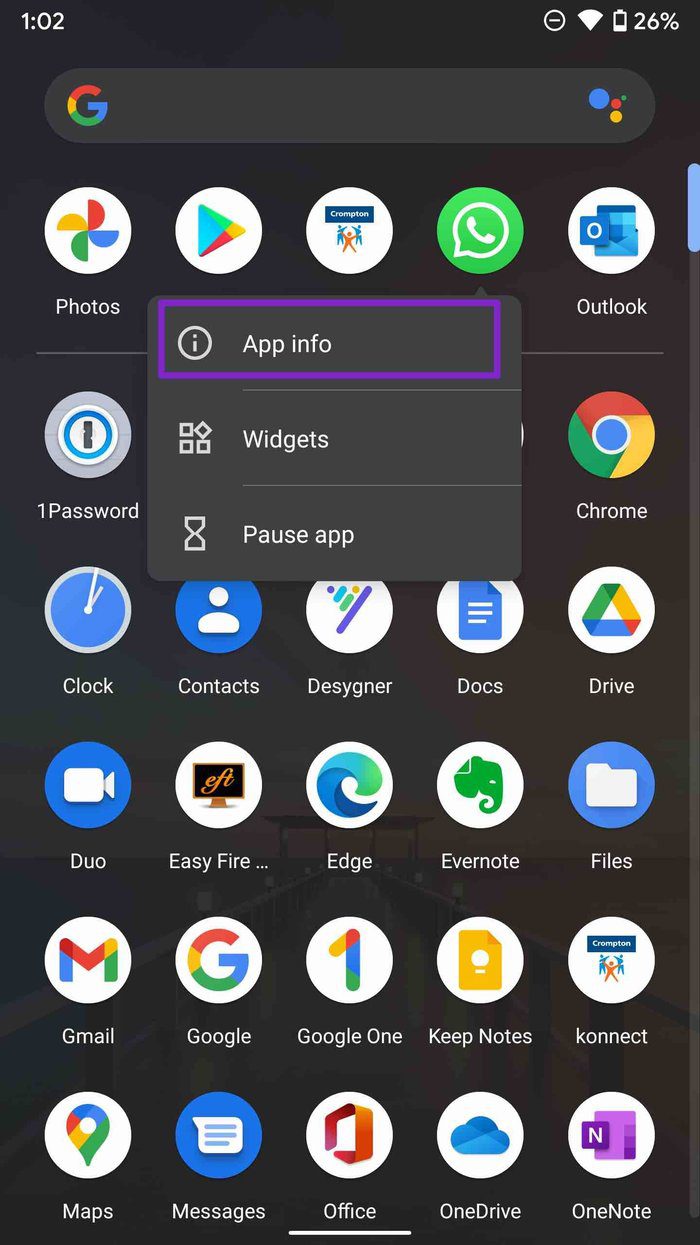 Open whatsapp app info menu