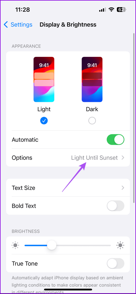 options display and brightness settings iphone