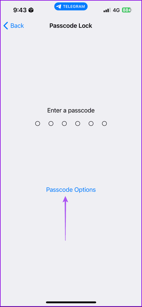 passcode options telegram iphone