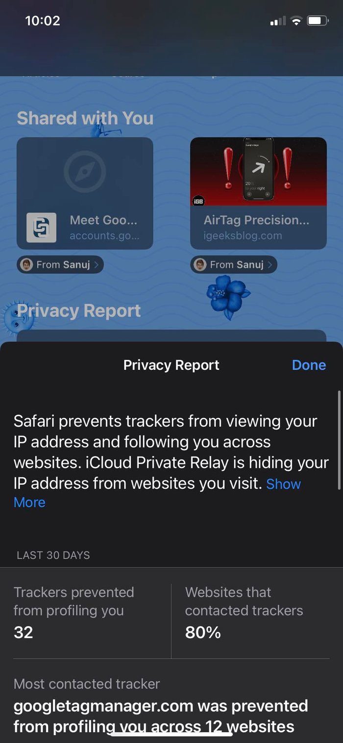 Privacy report in safari