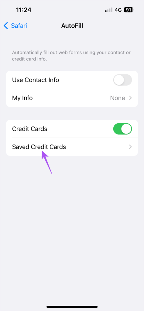 How to Add Credit Card in Safari on iPhone  iPad and Mac - 13