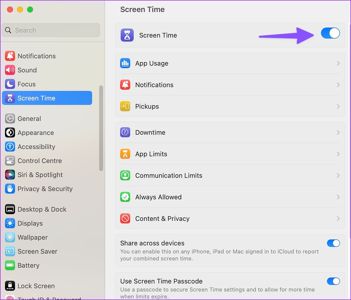 enable Screen Time on Mac