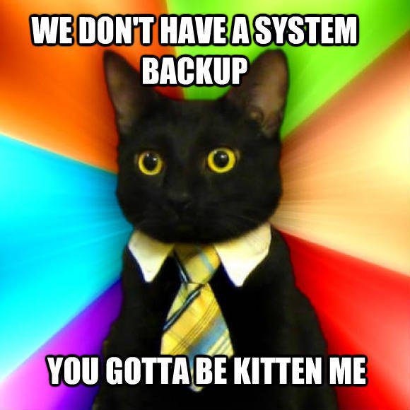 System Admin Kitty
