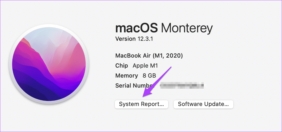 system report about this mac