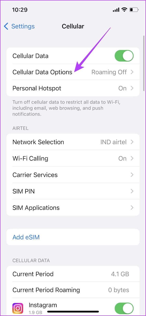 tap on Cellular Data Options 1