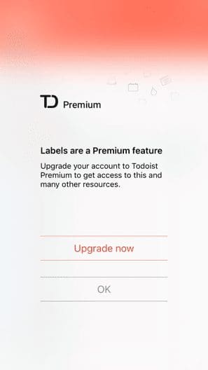 Todoist Premium 5