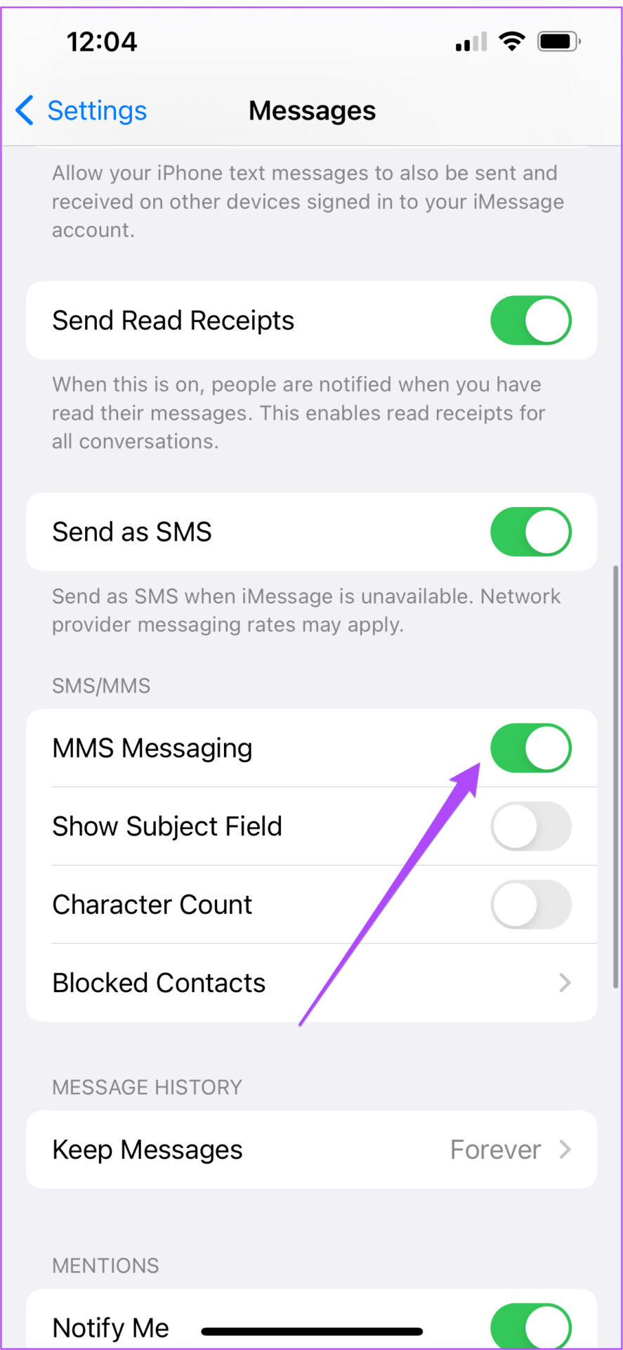 How to Force Send Text Message Instead of iMessage to a Contact - 74
