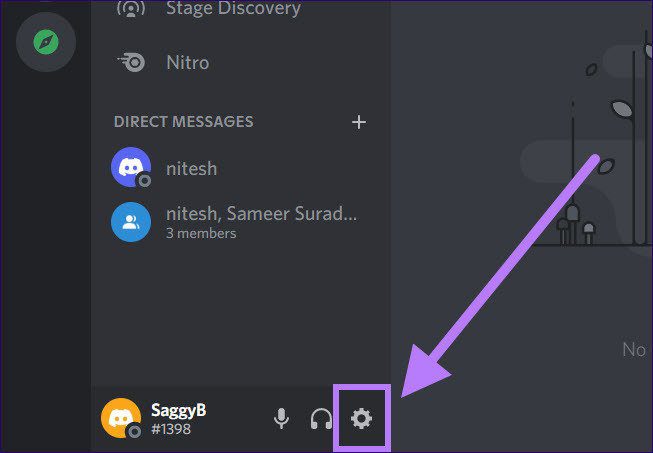 User settings discord mic not working