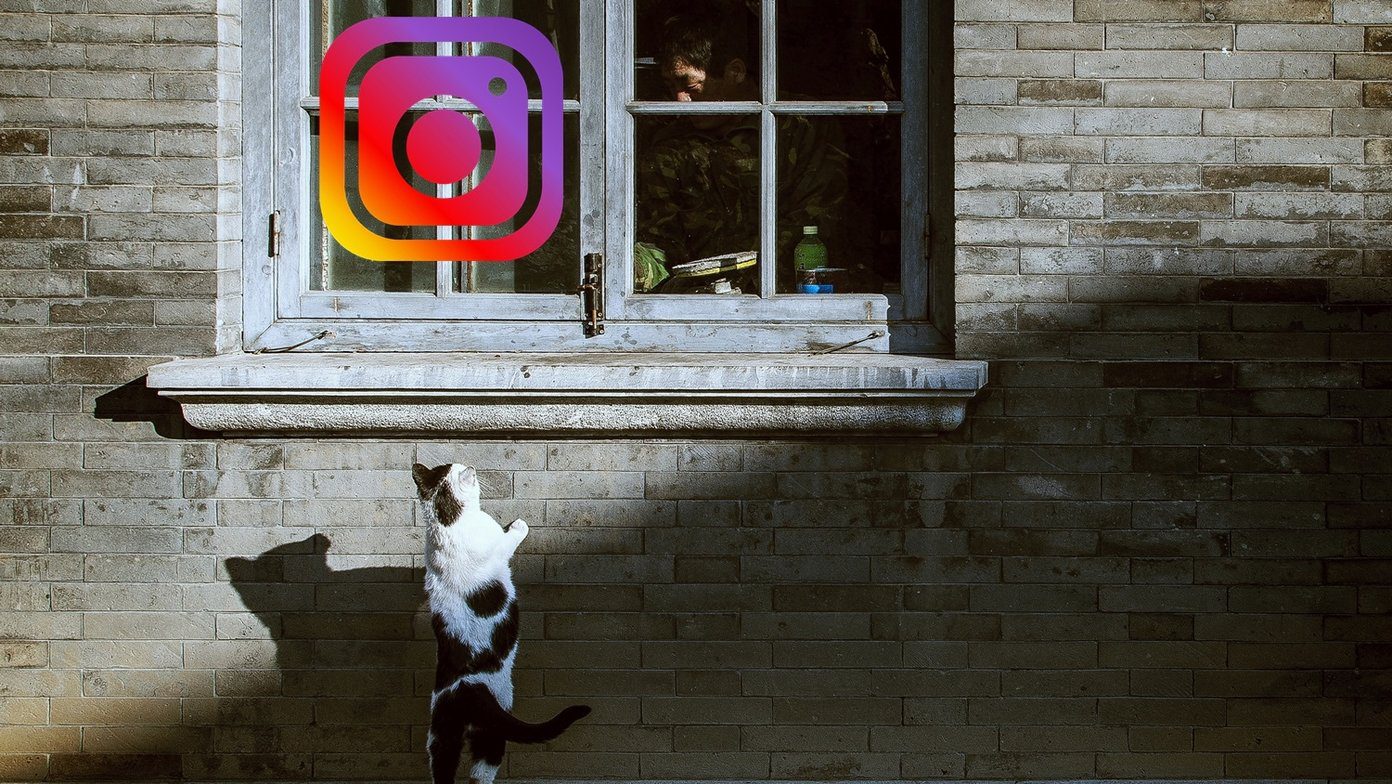 What Happens When You Unfollow Someone on Instagram