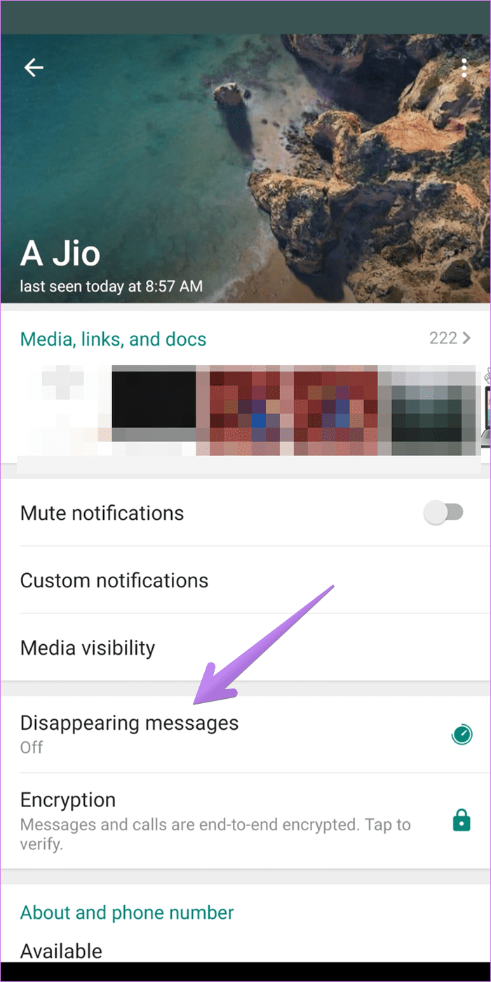 Whatsapp disappearing messages meaning 5