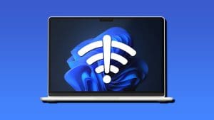 windows 11 no internet access but internet works