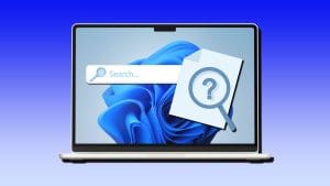 windows 11 search empty