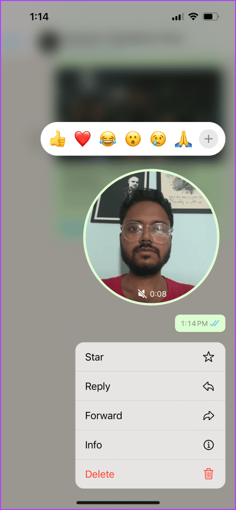 react to instant video message on WhatsApp 
