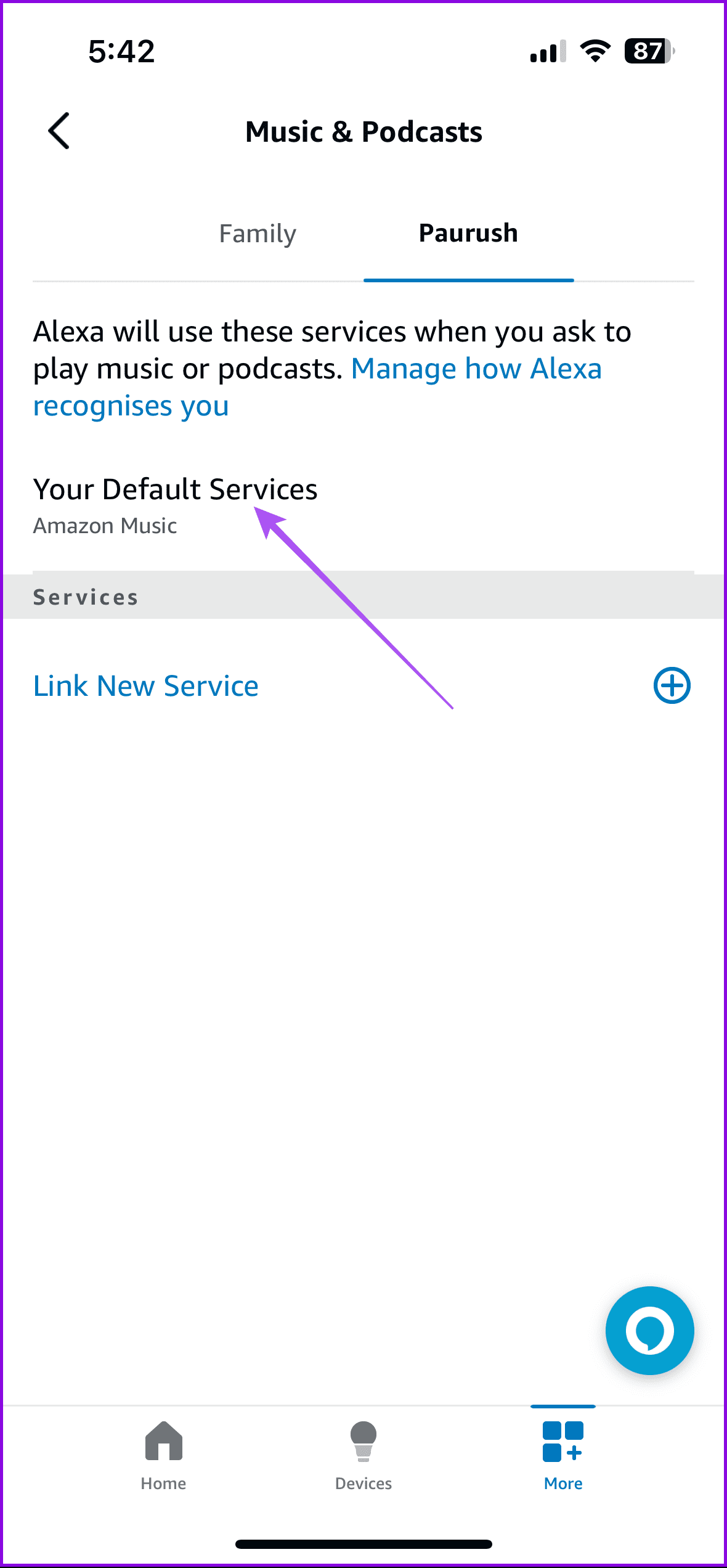 your default services alexa app